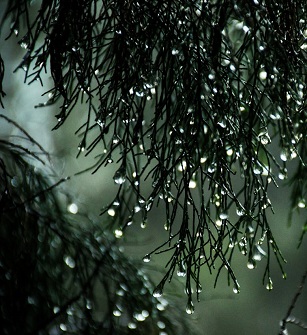 Enjoy rain at IRU